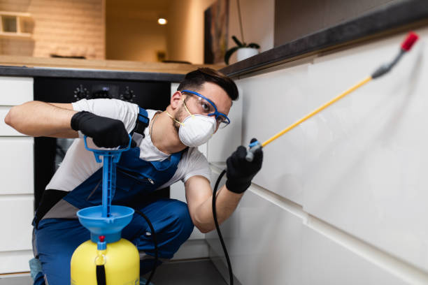 Best Exterminator Services  in Huntley, IL