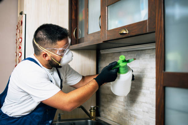 Best Pest Removal Services  in Huntley, IL
