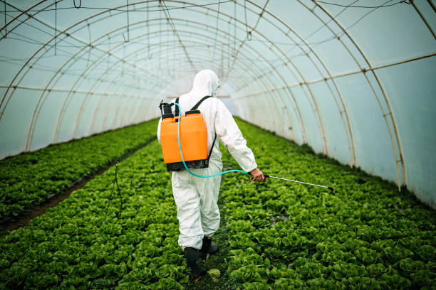 Best Pest Prevention Services  in Huntley, IL