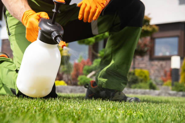 Best Bed Bug Extermination  in Huntley, IL