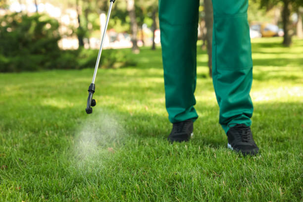 Best Local Pest Control Services  in Huntley, IL