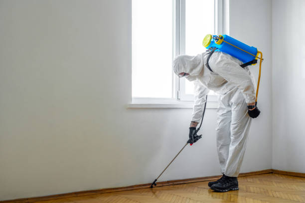 Best Insect Control  in Huntley, IL