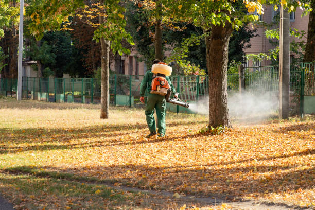 Best Rodent Control Near Me  in Huntley, IL