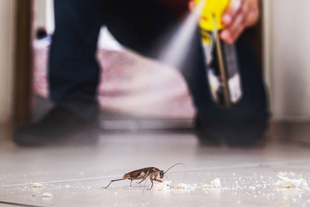 Best Commercial Pest Control Services  in Huntley, IL
