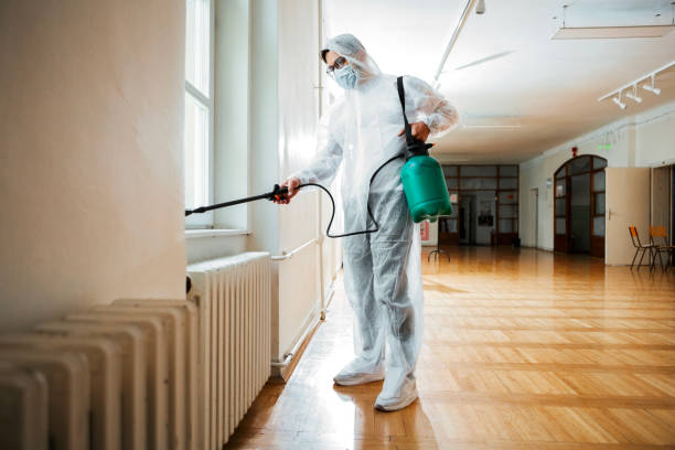 Best Mosquito Control Services  in Huntley, IL