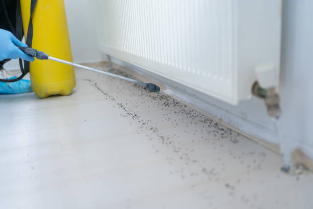 Best Exterminator Services  in Huntley, IL